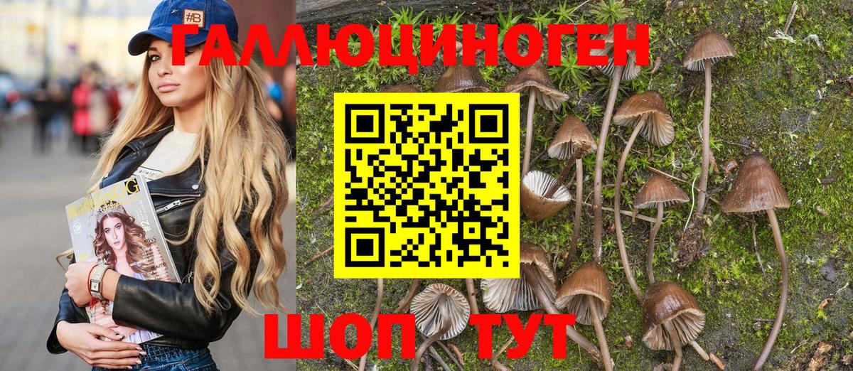 Псилоцибиновые грибы GOLDEN TEACHER Кумертау