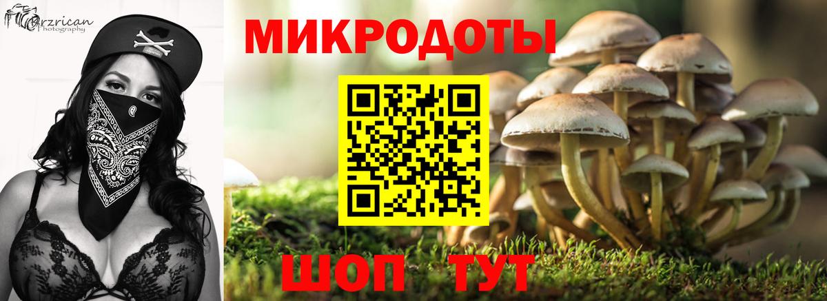 Галлюциногенные грибы Cubensis  Вход с VPN  Кумертау 